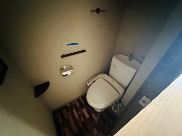 アドバンス心斎橋グランガーデンのトイレ写真