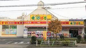 ドラックストア　どらっぐぱぱす西台店（ドラッグストア）まで141m