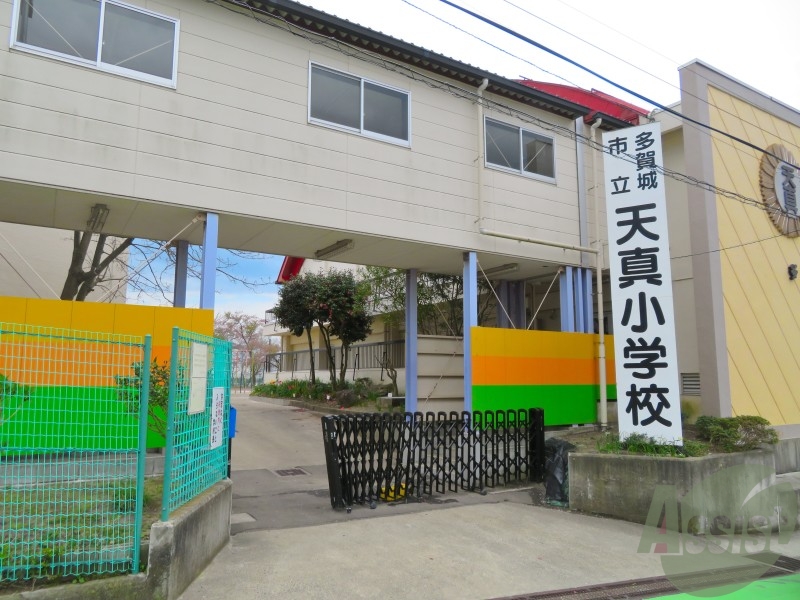 【多賀城市下馬のアパートの小学校】