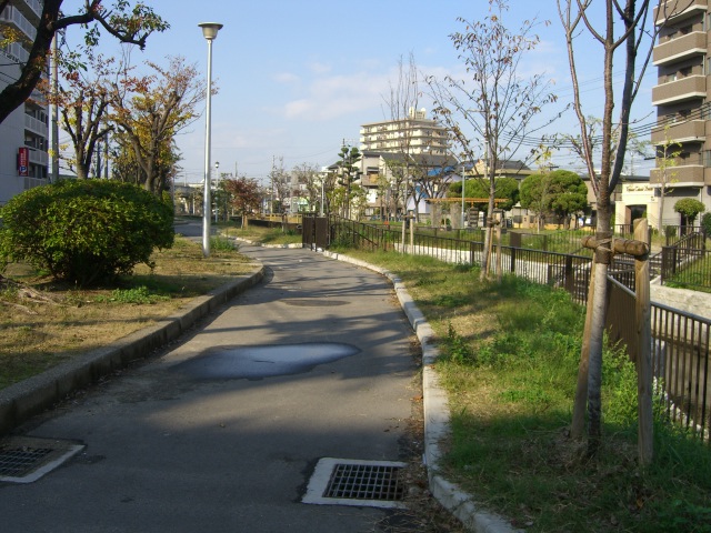 【シダーコートの公園】