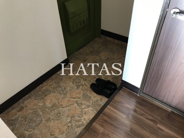 玄関　同物件別部屋です。