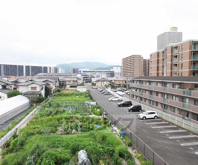 眺望　開けてます。