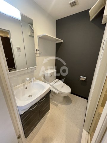 洗面設備　ラ・フォーレ野江内代II　洗面所