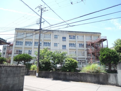 中学校　泉南市立信達中学校（中学校）まで1532m