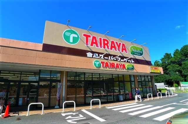 スーパー　TAIRAYA小平店（スーパー）まで803m