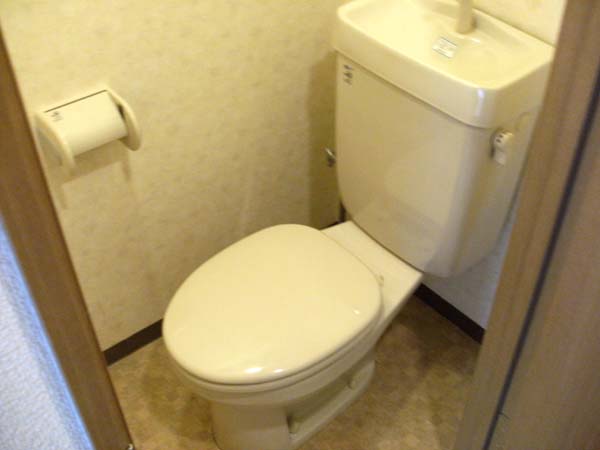 トイレ　トイレも気になるポイント