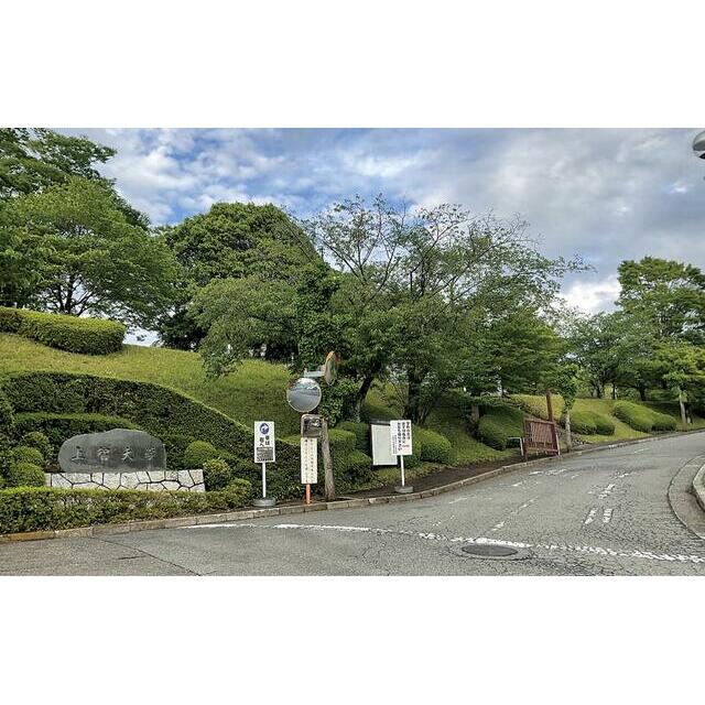 大学・短大　私立上智大学短期大学部（大学・短大）まで1561m