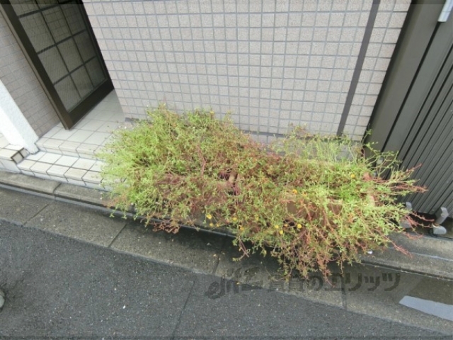 その他共有部分　植栽