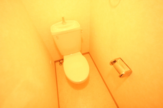 トイレ　※別部屋の写真です