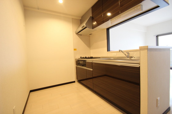 キッチン　※別号室の写真です