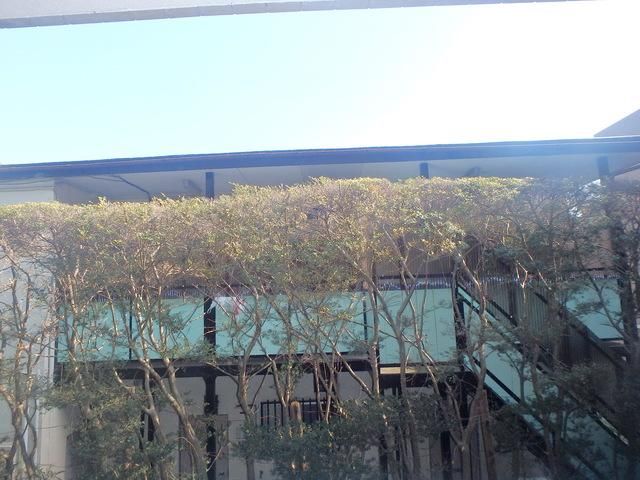 その他　★景色★