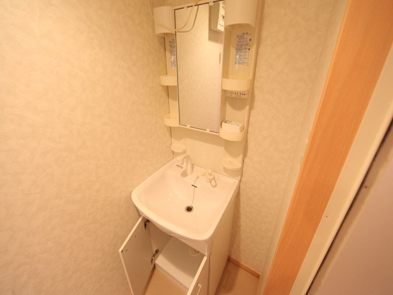 洗面設備　脱衣所　独立洗面台（シャンプードレッサー付）収納スペース有
