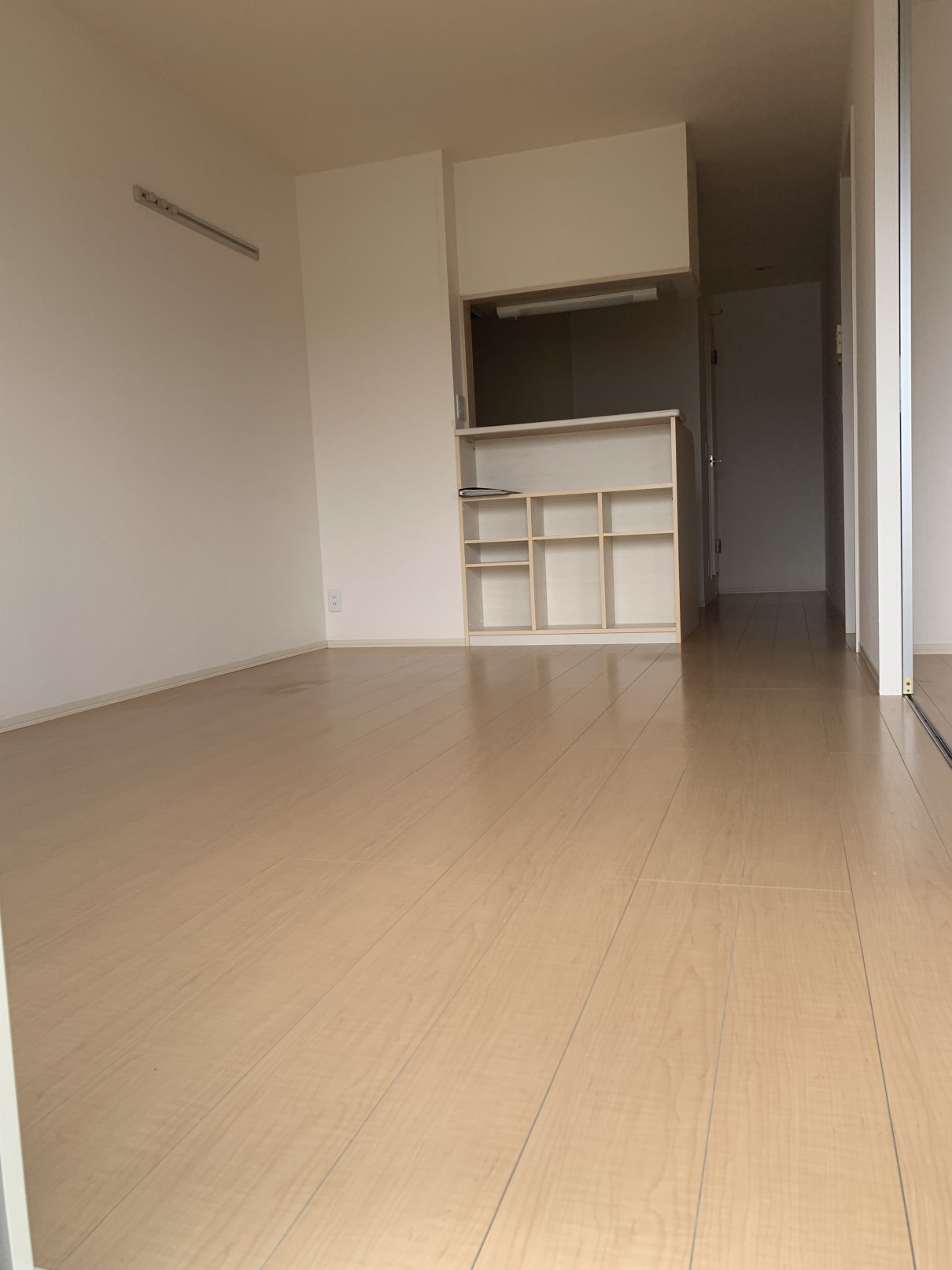 居室・リビング　南向きの明るいリビング