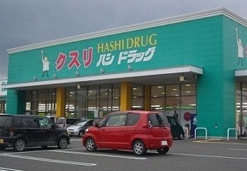ドラックストア　ハシドラッグ南福島店（ドラッグストア）まで600m
