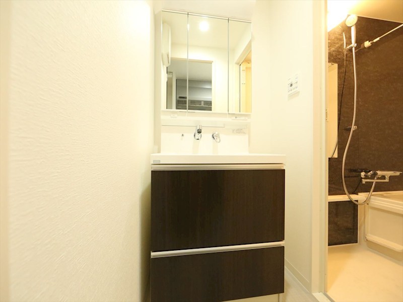 洗面設備　脱衣所　独立洗面台（シャンプードレッサー付）収納スペース有