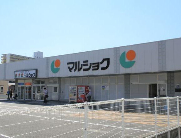 スーパー　マルショク諸岡店（スーパー）まで272m