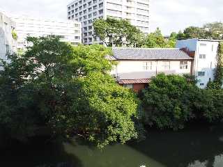 眺望　眺望（イメージ）