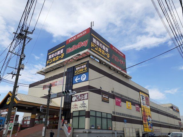 ショッピングセンター　ドンキホーテ・ハローデイ（ショッピングセンター）まで1100m