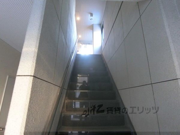 エントランス　階段