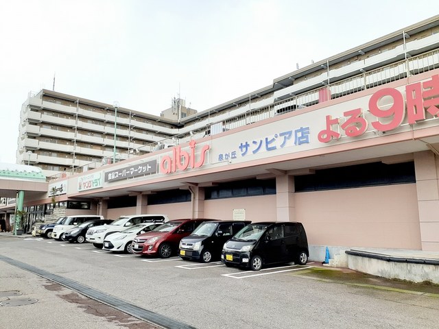 スーパー　アルビス泉が丘　サンピア店（スーパー）まで617m