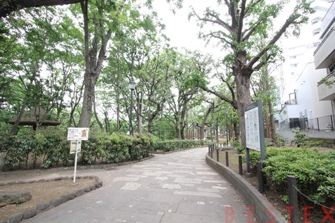 公園　大塚公園（公園）まで785m