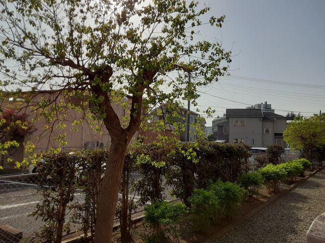 眺望