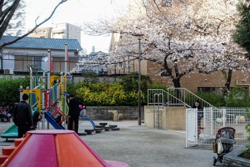 公園　駒込公園（公園）まで596m