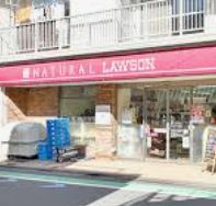 コンビニ　ナチュラルローソン NL九品仏小前店（コンビニ）まで1163m