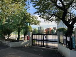 中学校　目黒区立第一中学校（中学校）まで376m