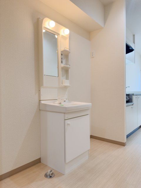 洗面設備　同物件別号室のものです。
