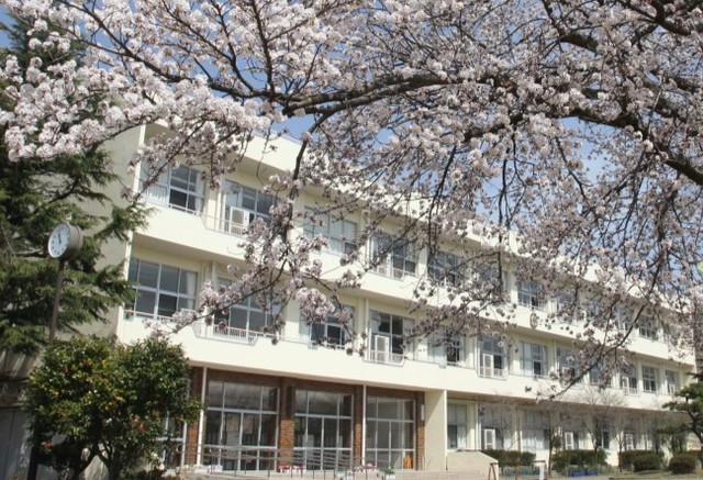 小学校　新潟市立木崎小学校（小学校）まで1062m