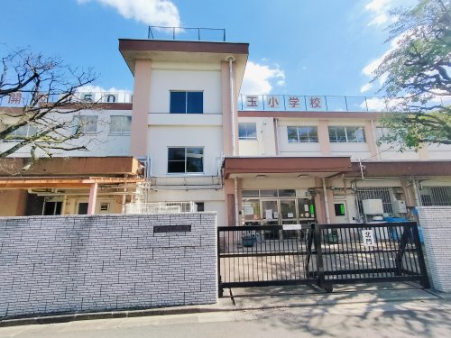 小学校　練馬区立豊玉小学校（小学校）まで343m
