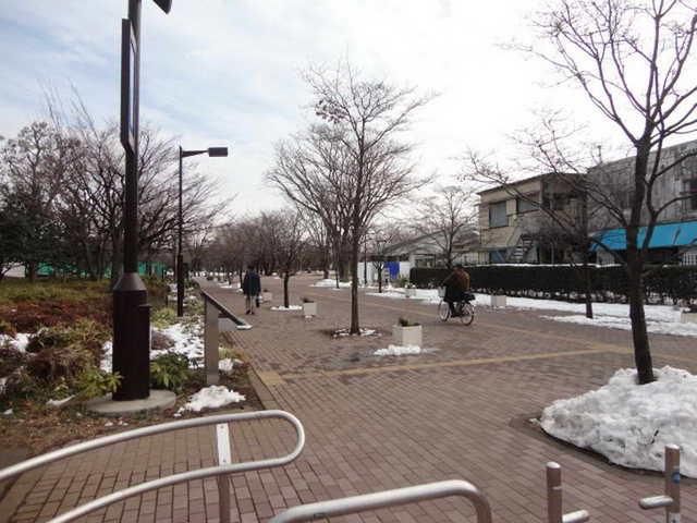 公園　武蔵野中央公園（公園）まで500m