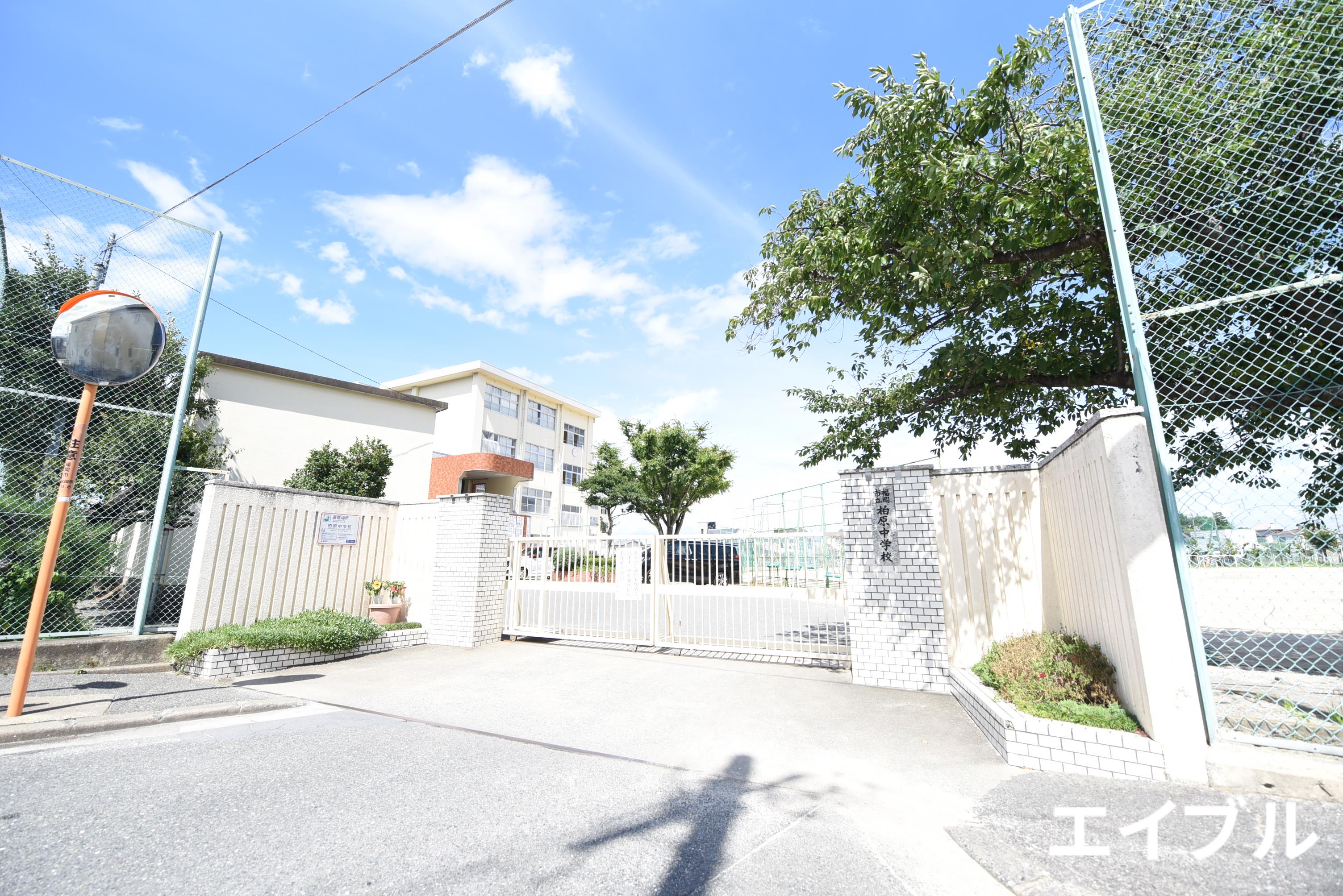 中学校　福岡市立柏原中学校（中学校）まで707m