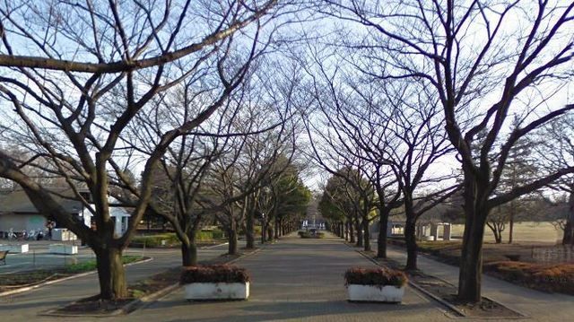公園　府中の森公園（公園）まで500m