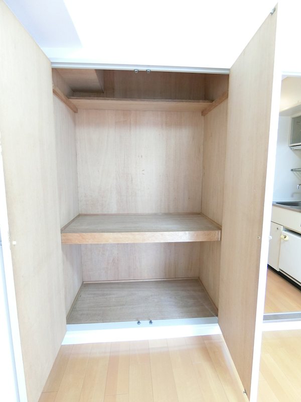 収納　押入れタイプの大きめ収納です