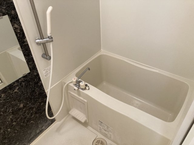 バス・シャワールーム　同物件別部屋です。