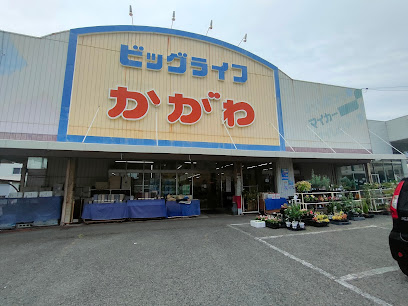 ホームセンター　ホームセンタービッグライフかがわ（ホームセンター）まで559m