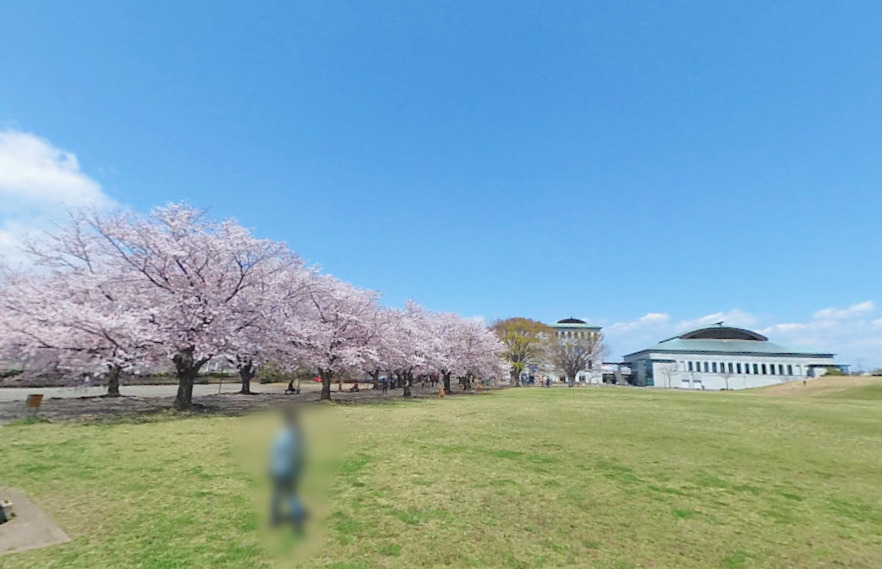公園　さむかわ中央公園・総合体育館（公園）まで103m