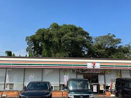 コンビニ　セブンイレブン 一宮東五城店（コンビニ）まで382m