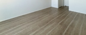 居室・リビング　※同施工会社別建物参照