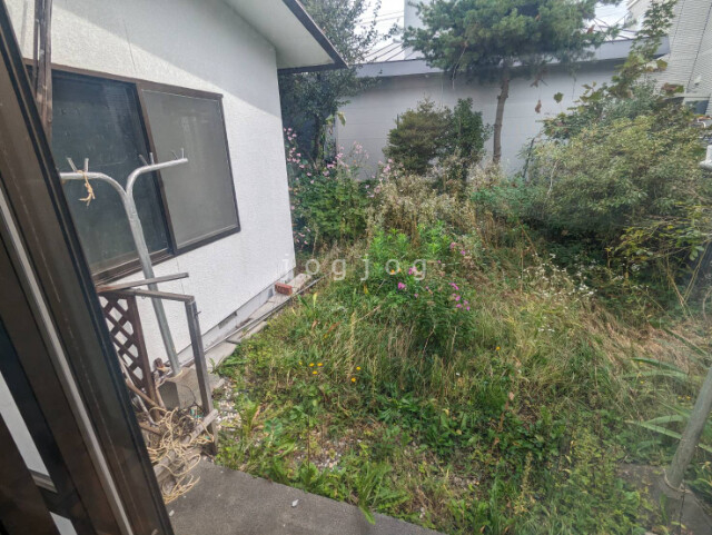 庭