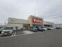 ドラックストア　ブイドラッグ四日市野田店（ドラッグストア）まで186m
