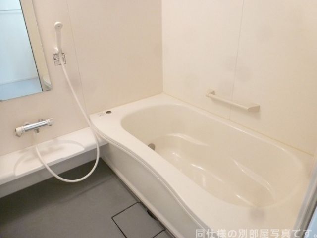 東武桐生線 新桐生駅 徒歩20分 3階建 築17年の風呂写真