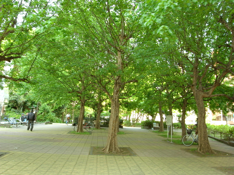 公園　戸山公園（公園）まで688m