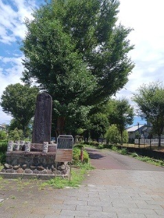 その他　公園（その他）まで100m