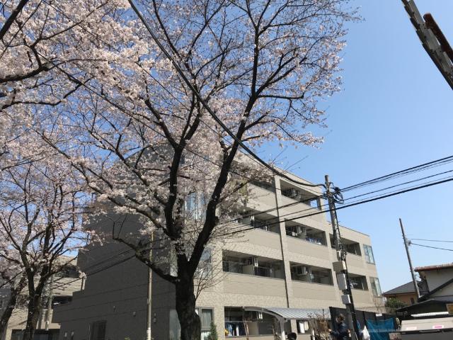 建物外観　外観写真（昼）