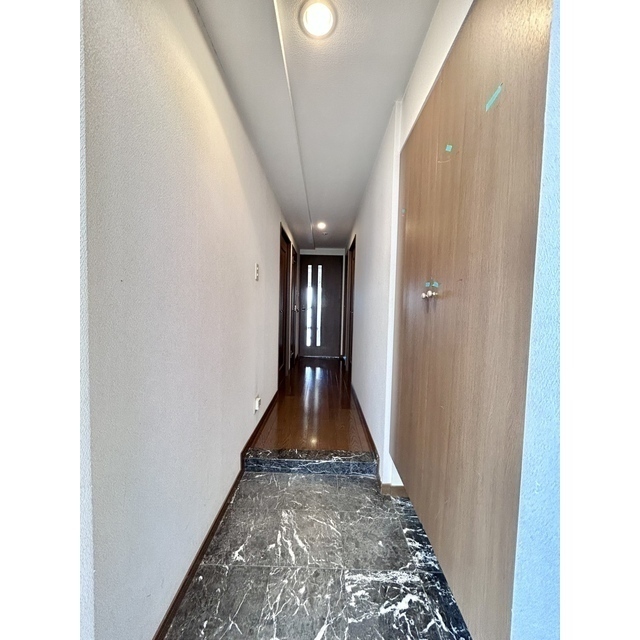 玄関　補修工事前