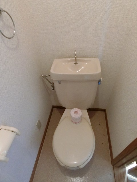 ヒューマンビレッジAのトイレ写真