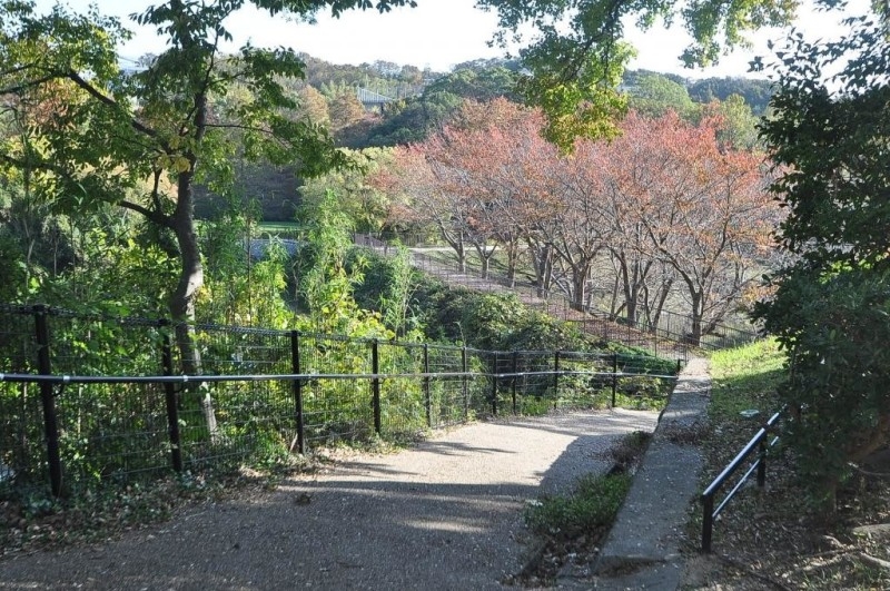 【グリーンガーデンの公園】